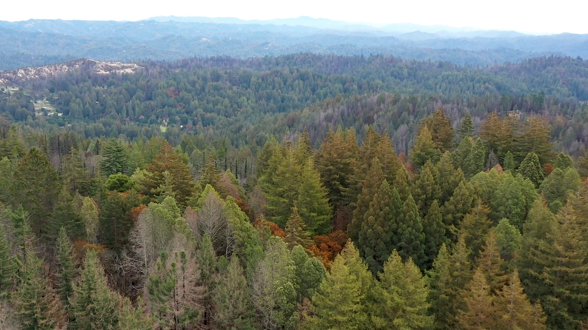 Gateway aerial shot of NoraBella Property Gateway aerial shot of NoraBella Property